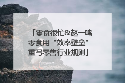 零食很忙&赵一鸣零食用“效率壁垒”重写零售行业规则