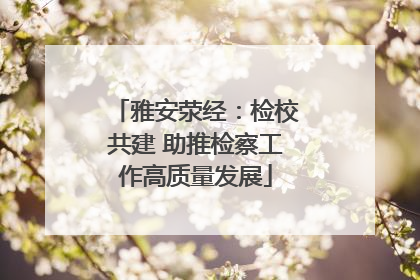 雅安荥经：检校共建 助推检察工作高质量发展