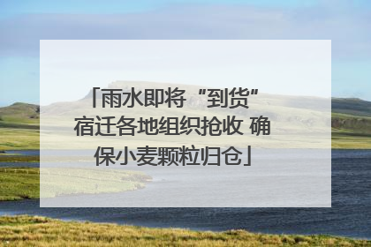 雨水即将“到货” 宿迁各地组织抢收 确保小麦颗粒归仓