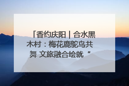 香约庆阳｜合水黑木村：梅花鹿鸵鸟共舞 文旅融合绘就“诗与远方”