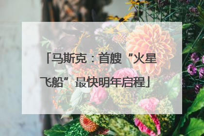 马斯克：首艘“火星飞船”最快明年启程