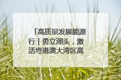 高质量发展能源行｜勇立潮头，激活粤港澳大湾区高质量发展动力源
