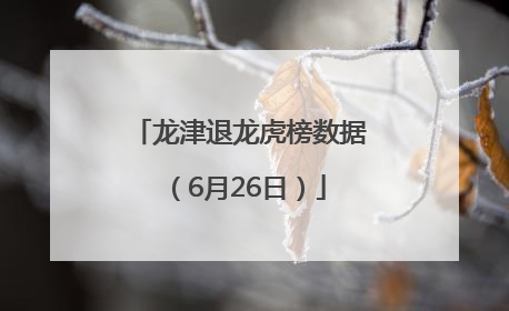 龙津退龙虎榜数据（6月26日）