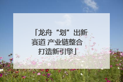 龙舟“划”出新赛道 产业链整合打造新引擎