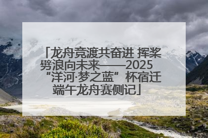 龙舟竞渡共奋进 挥桨劈浪向未来——2025“洋河·梦之蓝”杯宿迁端午龙舟赛侧记
