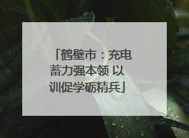 鹤壁市：充电蓄力强本领 以训促学砺精兵