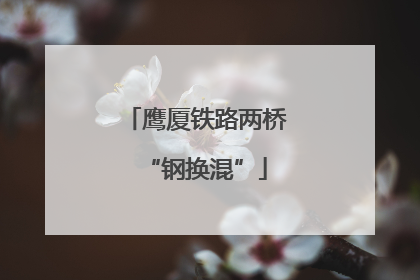 鹰厦铁路两桥“钢换混”