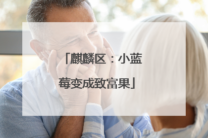 麒麟区：小蓝莓变成致富果