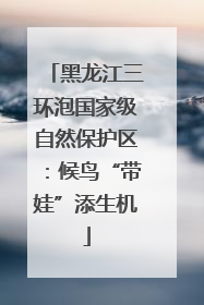 黑龙江三环泡国家级自然保护区：候鸟“带娃”添生机