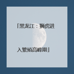 黑龙江：狮虎进入繁殖高峰期
