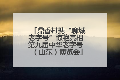 鼎香村携“聊城老字号”惊艳亮相第九届中华老字号（山东）博览会