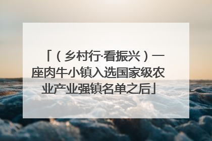 （乡村行·看振兴）一座肉牛小镇入选国家级农业产业强镇名单之后