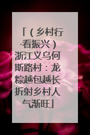 （乡村行·看振兴）浙江义乌何斯路村：龙粽越包越长折射乡村人气渐旺