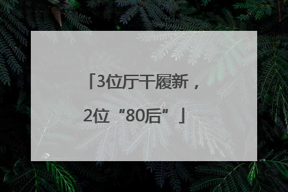 3位厅干履新，2位“80后”