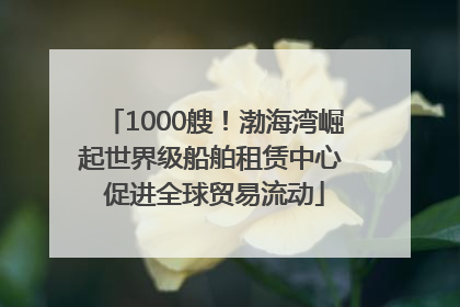 1000艘！渤海湾崛起世界级船舶租赁中心 促进全球贸易流动