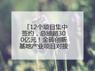 12个项目集中签约，总额超300亿元！金砖创新基地产业项目对接会举行