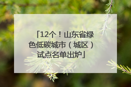 12个！山东省绿色低碳城市（城区）试点名单出炉