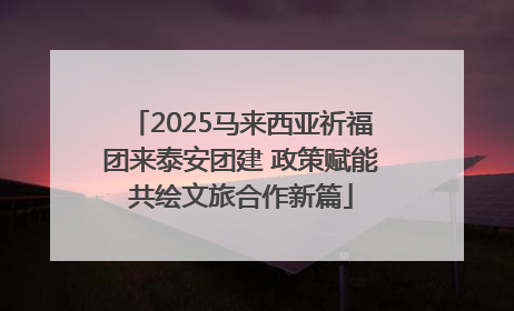 2025马来西亚祈福团来泰安团建 政策赋能共绘文旅合作新篇