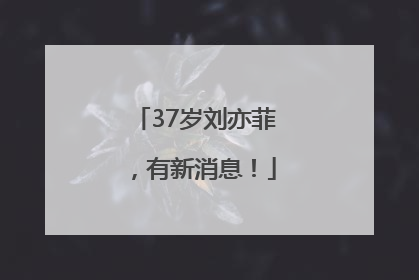 37岁刘亦菲，有新消息！