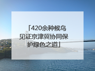 420余种候鸟见证京津冀协同保护绿色之道