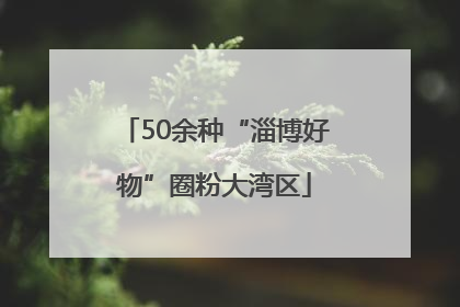 50余种“淄博好物”圈粉大湾区