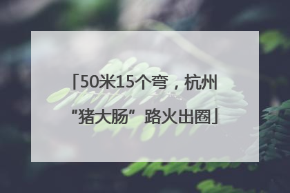 50米15个弯，杭州“猪大肠”路火出圈