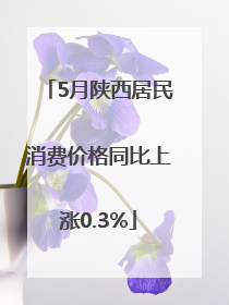 5月陕西居民消费价格同比上涨0.3%