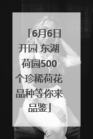6月6日开园 东湖荷园500个珍稀荷花品种等你来品鉴