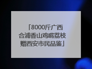8000斤广西合浦香山鸡嘴荔枝赠西安市民品鉴
