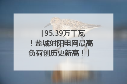95.39万千瓦！盐城射阳电网最高负荷创历史新高！