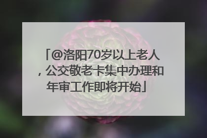 @洛阳70岁以上老人，公交敬老卡集中办理和年审工作即将开始
