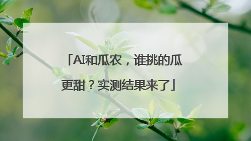AI和瓜农，谁挑的瓜更甜？实测结果来了