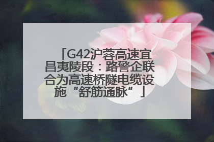 G42沪蓉高速宜昌夷陵段：路警企联合为高速桥隧电缆设施“舒筋通脉”
